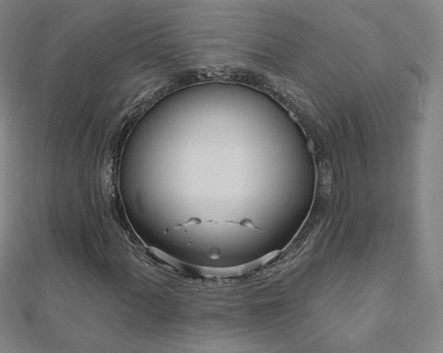 X0000112481060200908171215