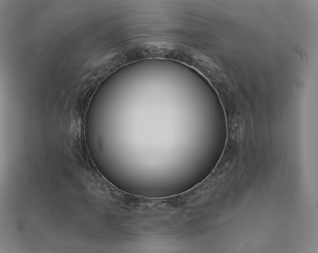 X0000112481061200908171215