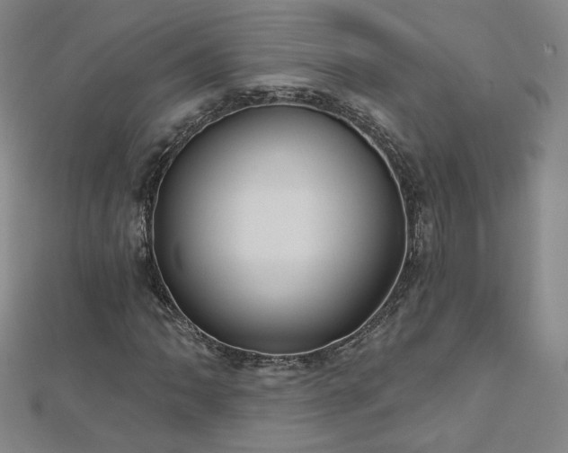 X0000112481062200908171215