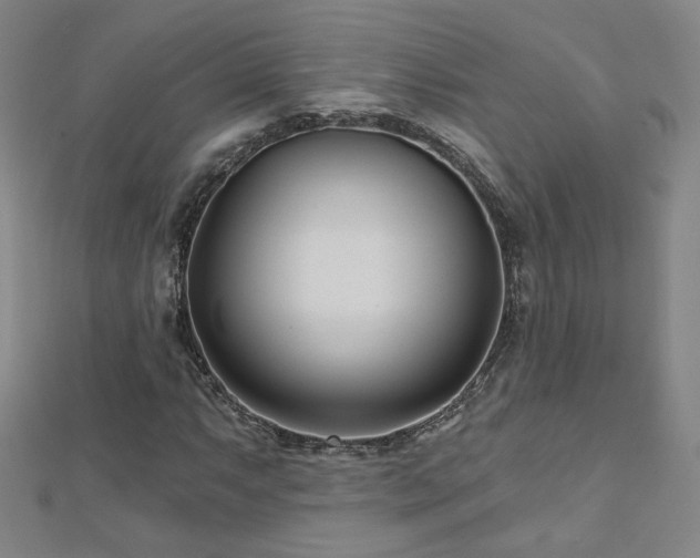 X0000112481063200908171215