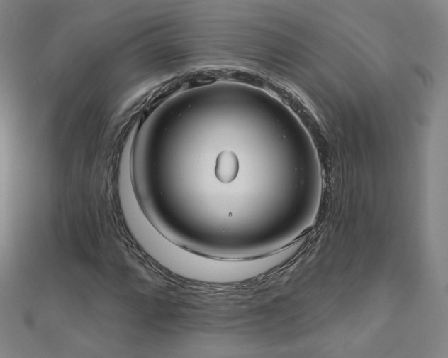 X0000112481064200908171215