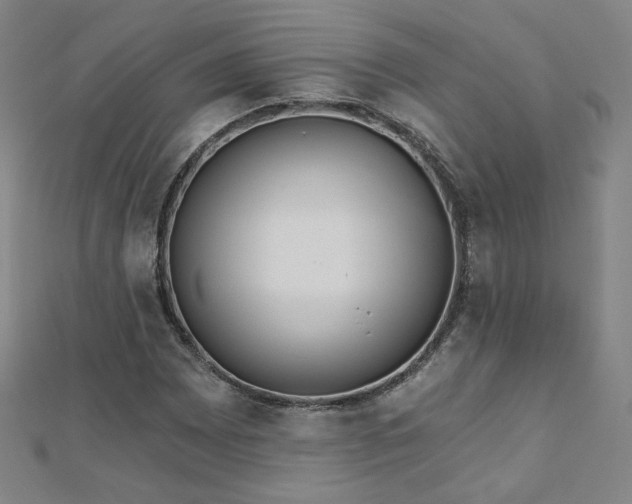X0000112481065200908171215