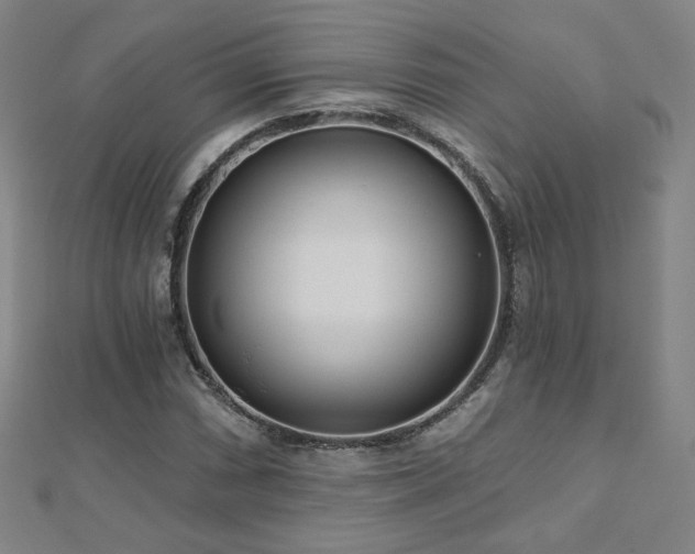 X0000112481066200908171215