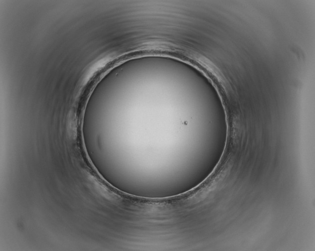 X0000112481067200908171215