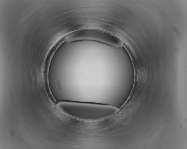 X0000112481068200908171215