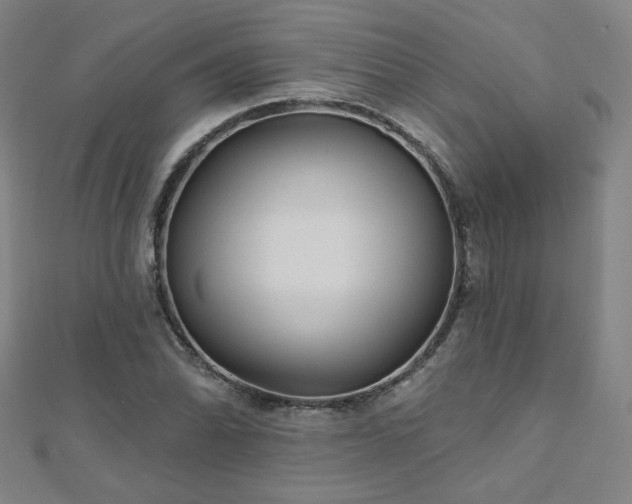 X0000112481070200908171215