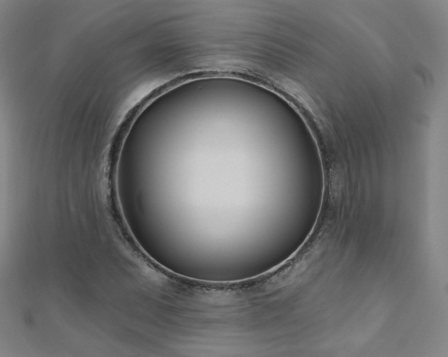 X0000112481071200908171215