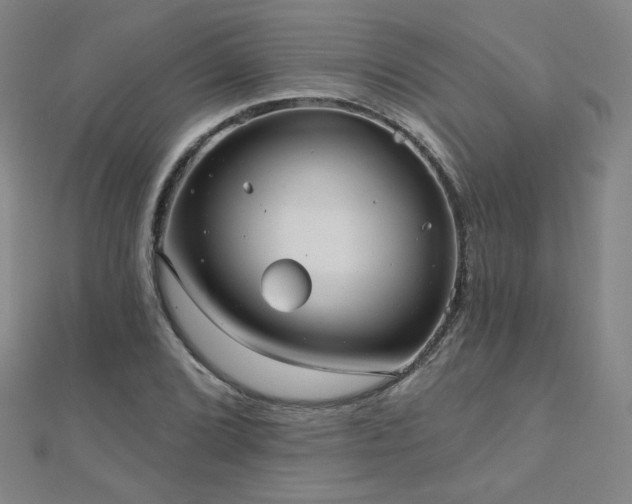 X0000112481072200908171215