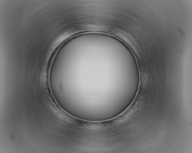 X0000112481074200908171215