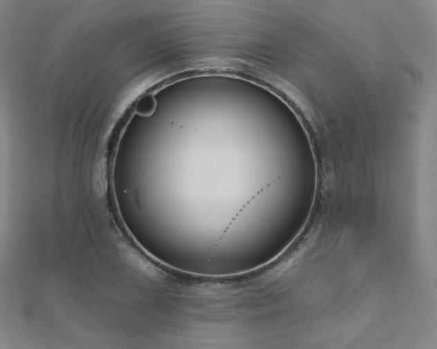X0000112481075200908171215