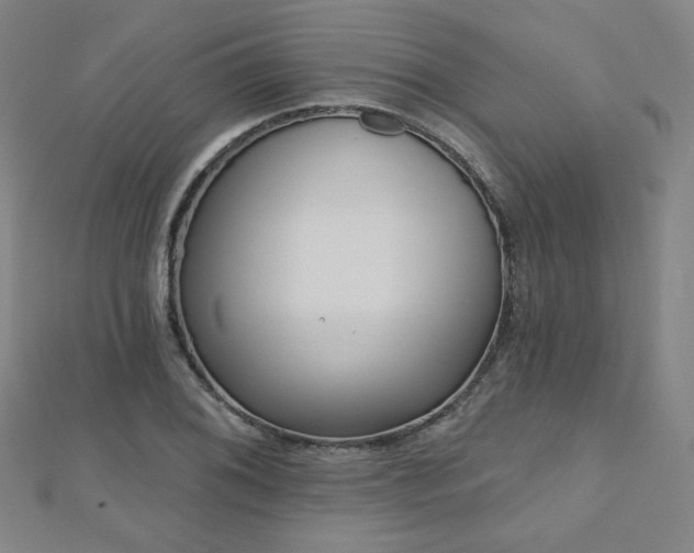 X0000112481076200908171215