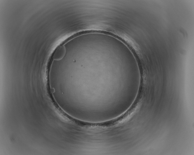 X0000112481077200908171215