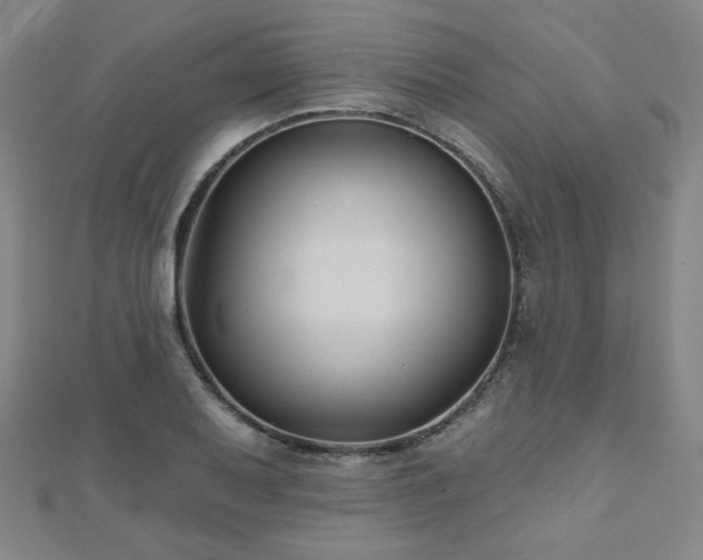 X0000112481079200908171215