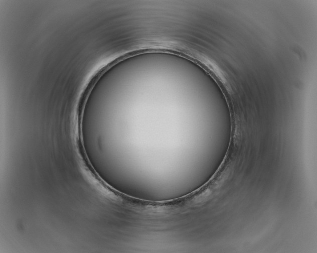 X0000112481080200908171215