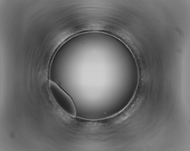X0000112481081200908171215