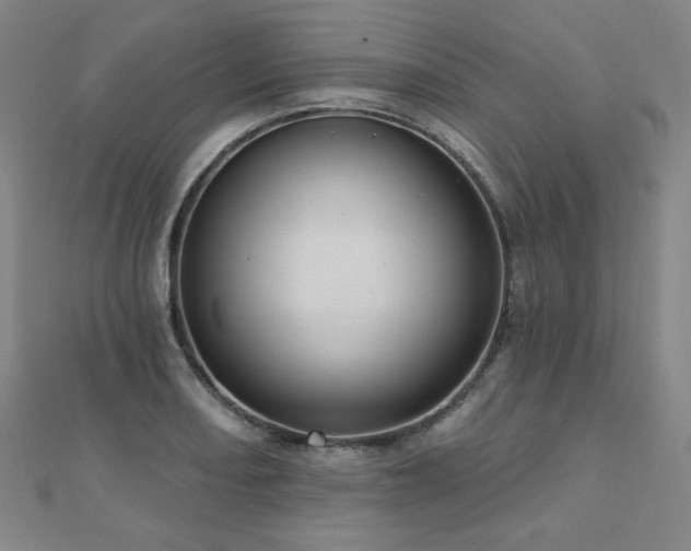 X0000112481082200908171215