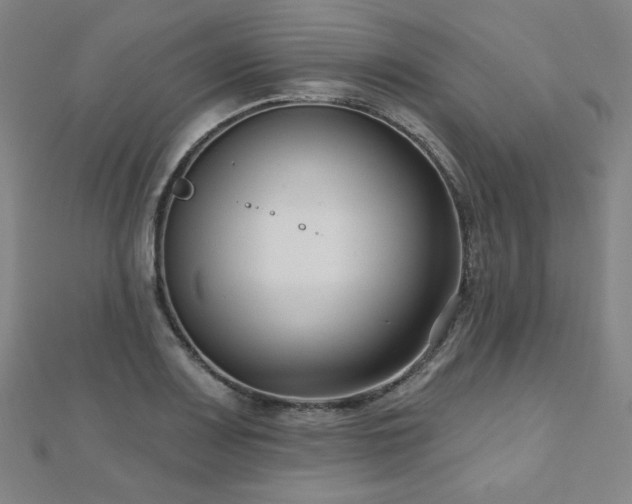 X0000112481083200908171215