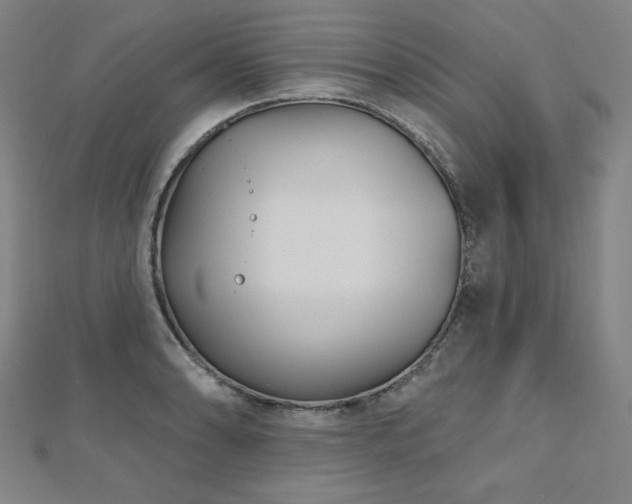 X0000112481086200908171215