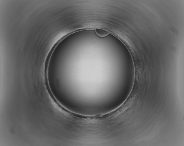 X0000112481087200908171215