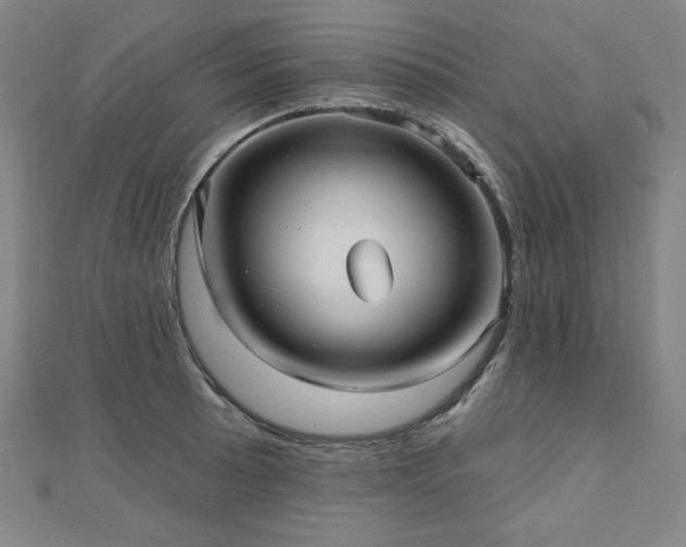 X0000112481089200908171215