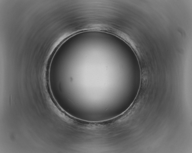 X0000112481091200908171215