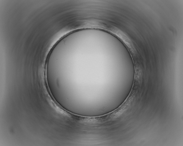 X0000112481094200908171215