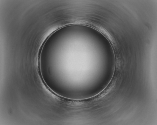 X0000112481095200908171215