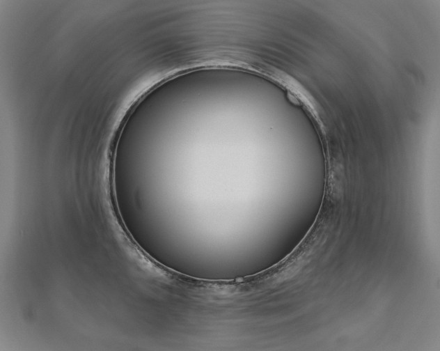 X0000112481096200908171215