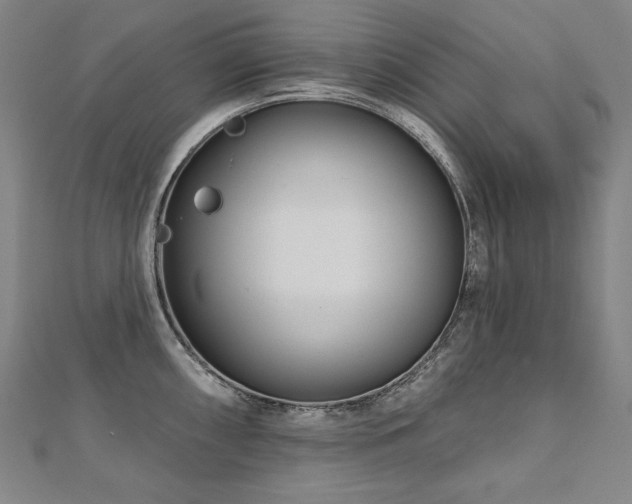 X0000112481098200908171215