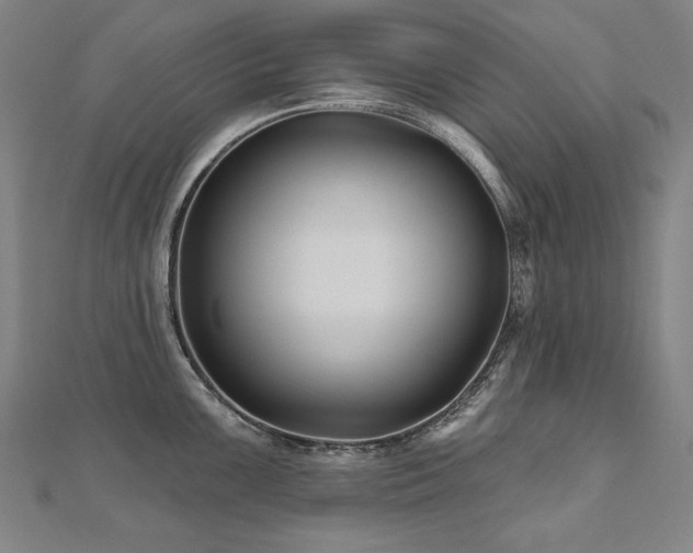 X0000112481099200908171215