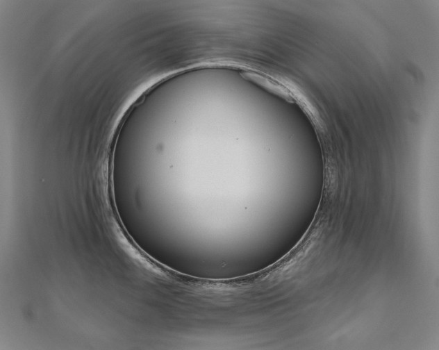 X0000112481100200908171215