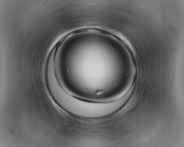 X0000112481101200908171215