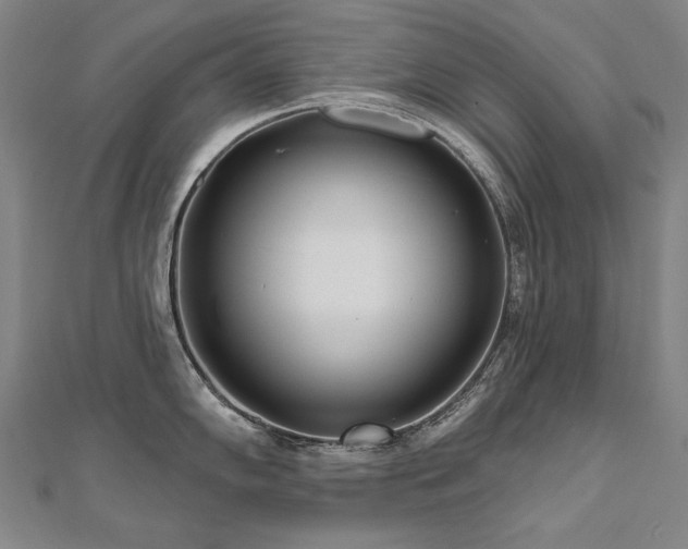 X0000112481102200908171215