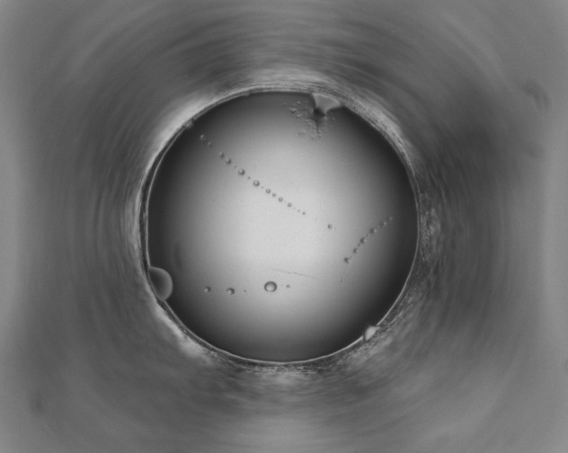 X0000112481103200908171215