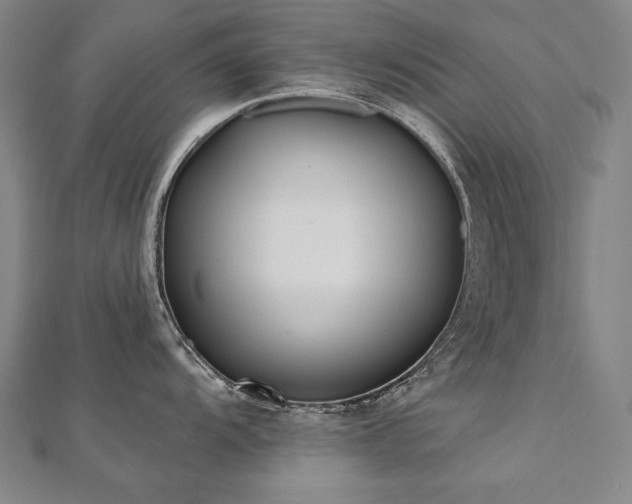 X0000112481104200908171215