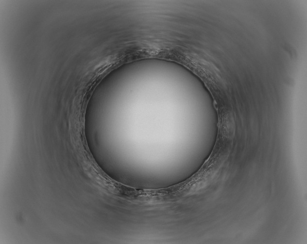 X0000112481105200908171214
