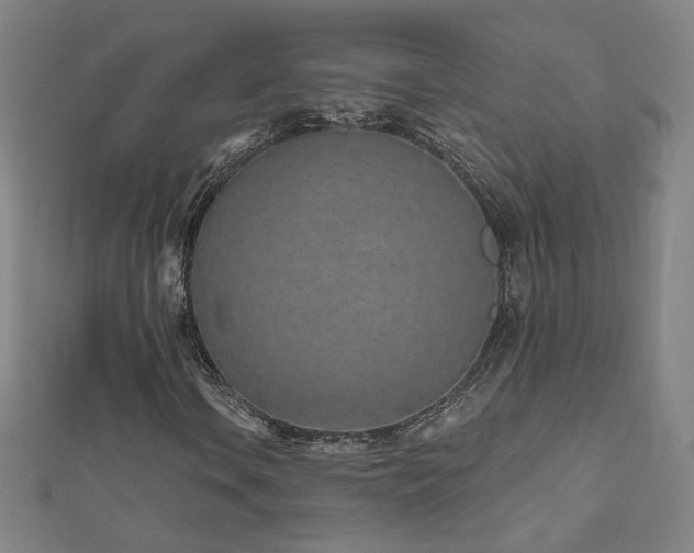 X0000112481106200908171214