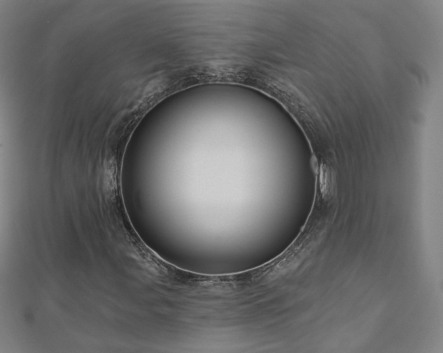 X0000112481107200908171214