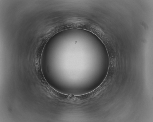 X0000112481109200908171214