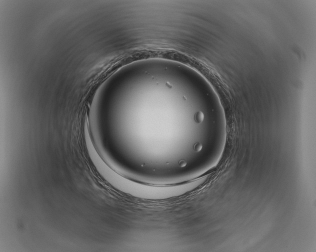 X0000112481110200908171214