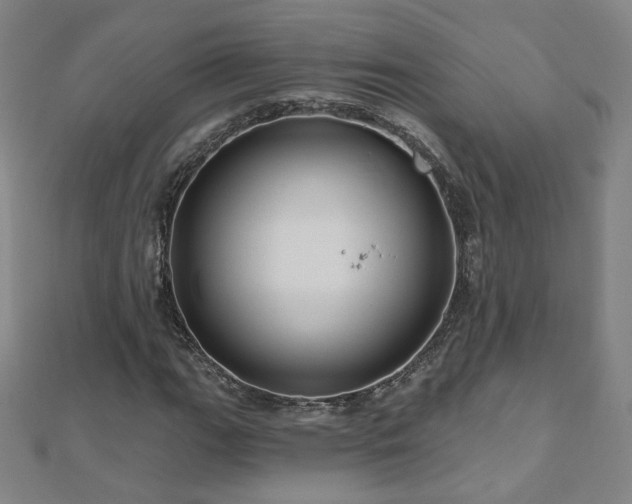X0000112481111200908171214