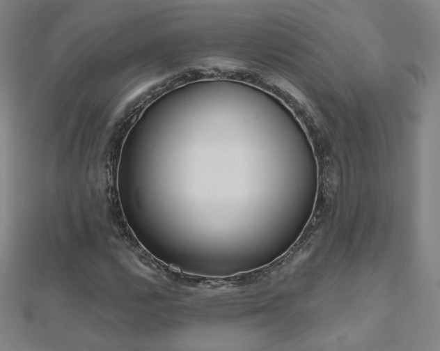 X0000112481112200908171214