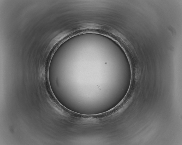 X0000112481113200908171214