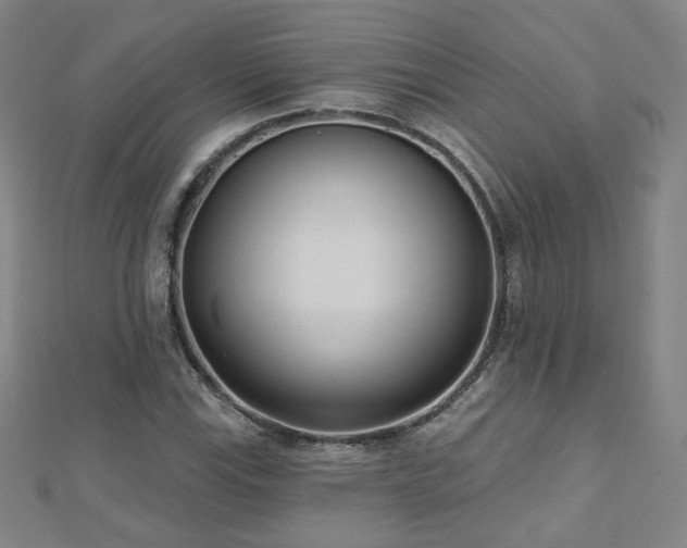 X0000112481115200908171214