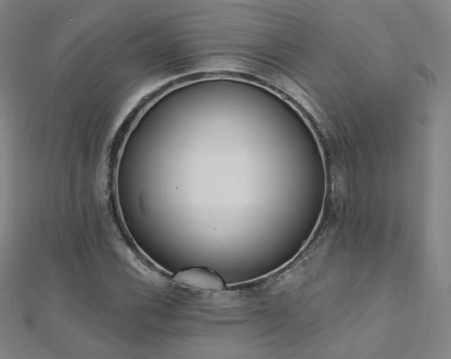 X0000112481116200908171214
