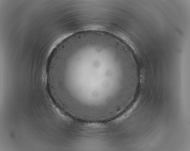 X0000112481117200908171214