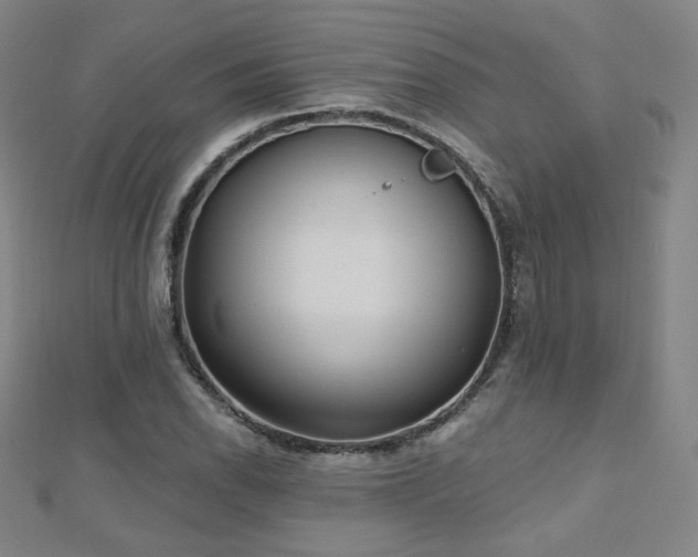 X0000112481118200908171214