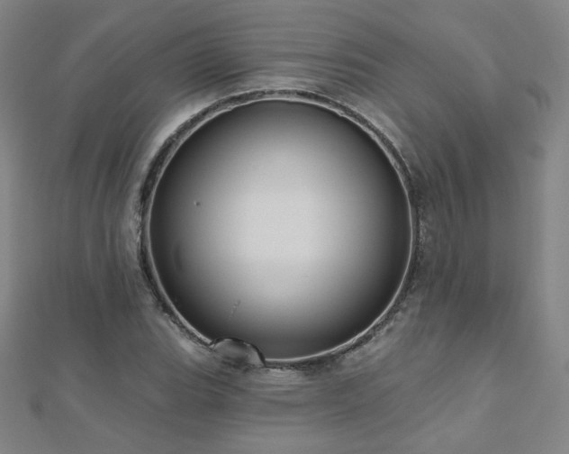 X0000112481119200908171214