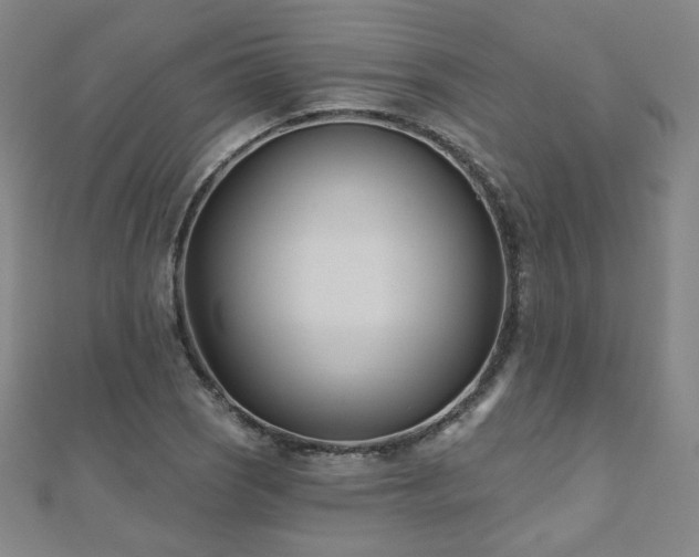 X0000112481121200908171214