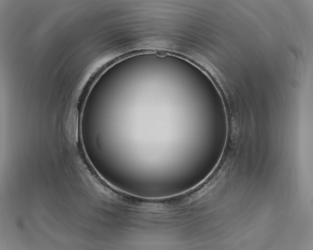 X0000112481123200908171214